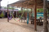 Mapache Hostel & Camping
