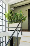 5Q HOUSE Zona G - Apartments