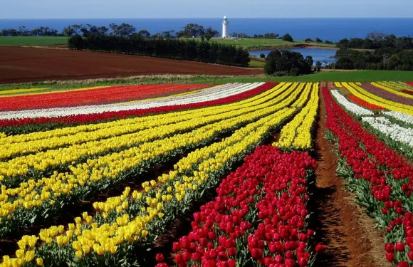 海景海濱住宿加早餐旅館