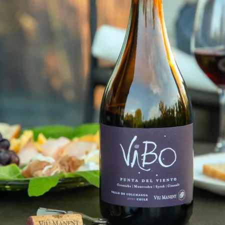Vibo Wine Lodge at Viu Manent