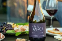 Vibo Wine Lodge at Viu Manent - Homestays