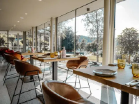 Hotel des Bains & Wellness Hotels in Waimes