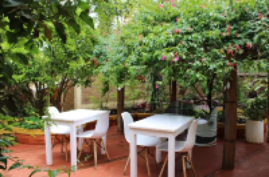 蘇伊曼蓋飯店 住宿飯店