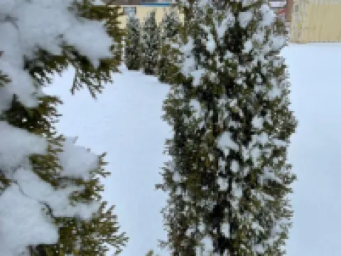 Timber Motel Hotels in Clinton