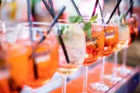 Hotel Compagnoni - Baarit