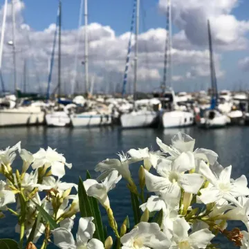 Dolce Vita Suite Alghero