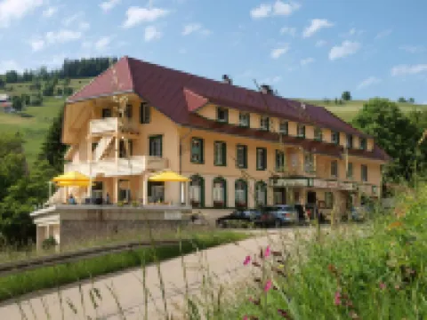 Grüner Baum Naturparkhotel & Schwarzwald-Restaurant Hotels in Todtnau