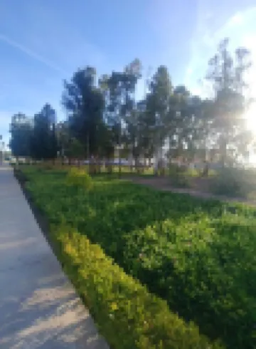 Mohammed V Airport Home