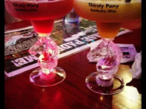 雪松瑪就套房酒店 桑達斯基酒店