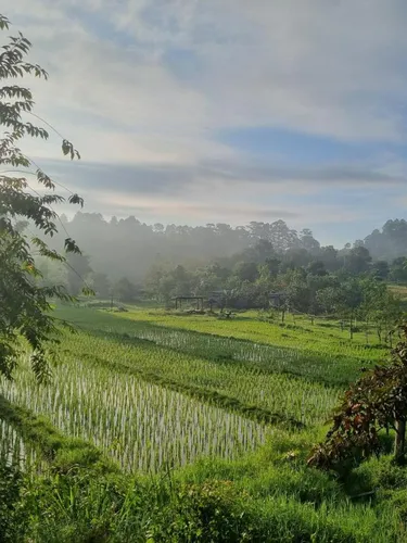 รูปภาพของNongtao Homestay หนองเต่าโฮมสเตย์