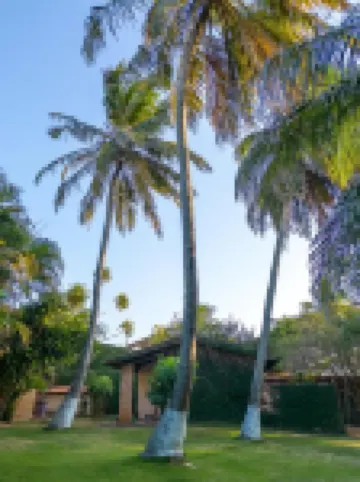 Mansao Santa Rita Hotéis em 