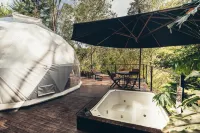 Domus Glamping - Guatapé