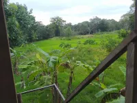 Yashi's Place Sigiriya - Scenic