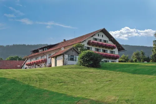 Wild-Berghof Buchet - 인 (Inns)