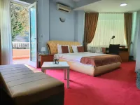 Hotel Aristocrat & Fish Restaurant Hotels in Karposh