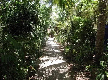 รูปภาพของเดอะเชสส์ สมุย