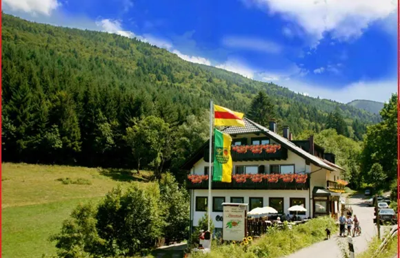 沃卡斯特霍夫阿爾特斯巴赫酒店