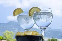 Hotel Alta Garrotxa Hotel di Olot