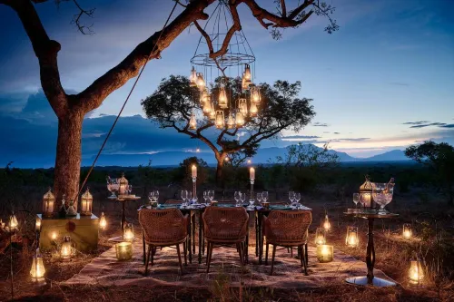 Royal Malewane Hotels in Hoedspruit