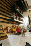 Arena Hotel Samorin - Wi-Fi