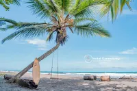Hotel Serendipity Tortuguero - Beach