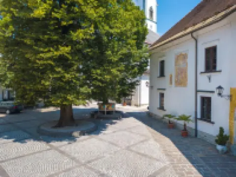 Vila Radolca公寓和房間