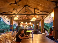 Madpackers Goa Anjuna - Bar & Pool - bar
