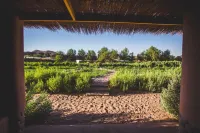Eco-Lodge El Andinista - Mountain view