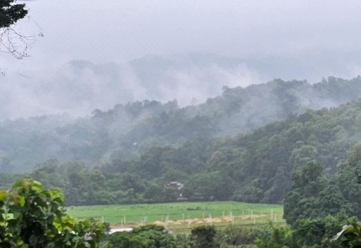 Balmy Hideout Cafe Homestay의 외관