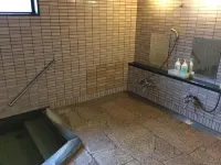 Hakuba Yamano Hotel - Pemandian Air Panas