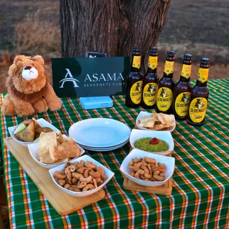 Asama Serengeti Camp Hotels in Serengeti
