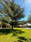 Posada Pinar de Besares فنادق في 