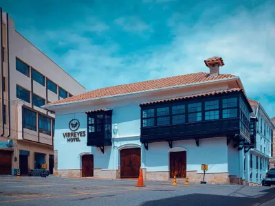 Virreyes Hotel فنادق في بوتوسي