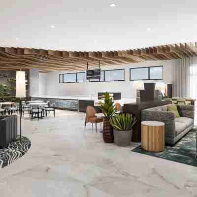 希爾頓Tempo飯店,鴿子谷 Others