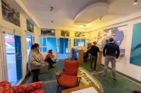 La Tosca Hostel - Wifi