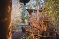 Cabañas Altos del Lago - Pet friendly