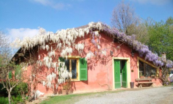Agriturismo Cascina degli Ulivi - Housity