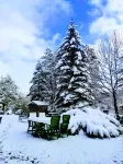 Abant Korudam Bungalov Butik Otel - Bergblick