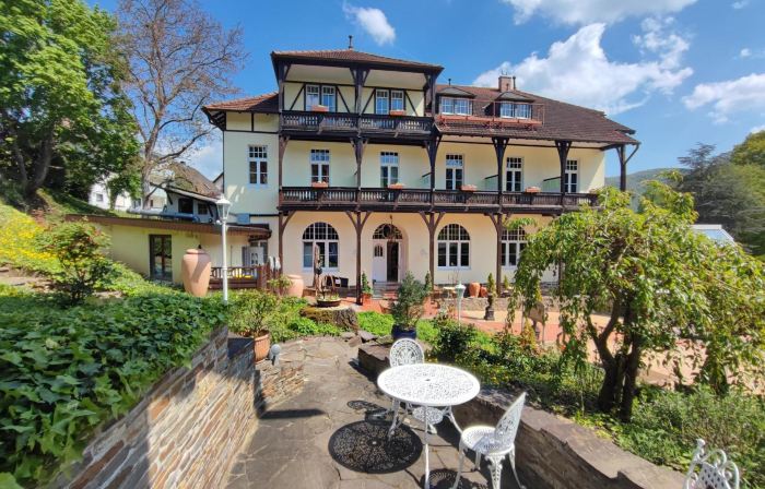 Park Villa Zentral am Mittelrhein - Zimmer & Apartments Self Check IN