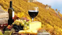Hunter Valley Motel Hotels in Cessnock