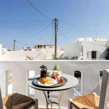 Pelican Paros
