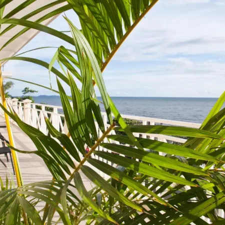 The Beach House