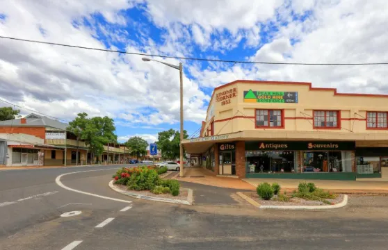 山頂金峯經濟汽車旅館