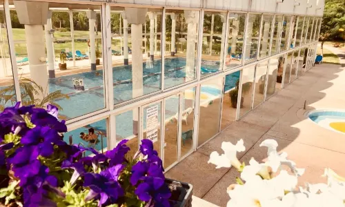 Suite Caesar - Neot Golf