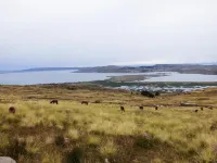 Tierra Espiritual - Andean Holistic Hotel