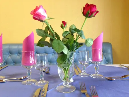 Hotel le Dauphin Отели в г. Аяччо