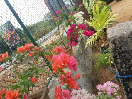 Peacock Villa Resort