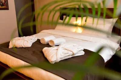 Bahus Inn Hotels in Zemun