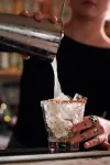 The Jesse Hotel & Bar - bar