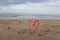 Leopold Hotel Ostend - Beach